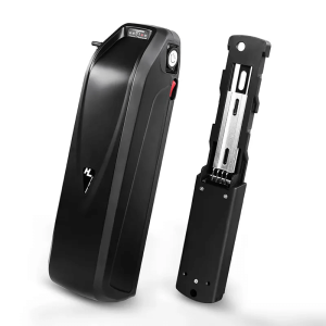 Hailong Elektroroller E-Bike Akku 48V 15Ah