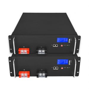 Fabrikanpassung Lithium-Ionen-Batterie 48V 100Ah LiFePO4 für Solarenergiespeichersysteme