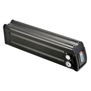 Wiederaufladbarer 48V 20Ah 1000W Silver Fish Lithium-Akku